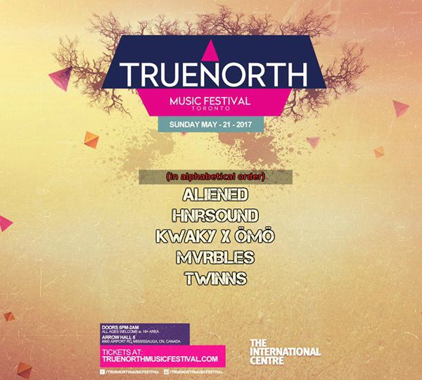 true north music festival - dj comp poster